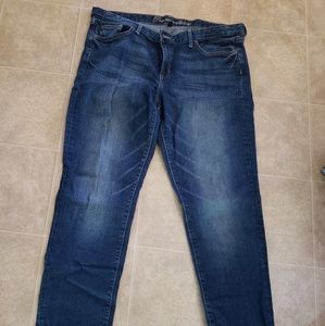 Premium plus size Skinny Jeans
